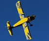 Extreme Flight BushMaster 84´ 2.130mm Yellow