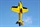Extreme Flight MXS 60 Yellow